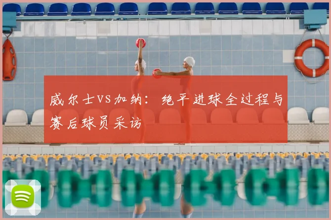 威尔士vs加纳：绝平进球全过程与赛后球员采访