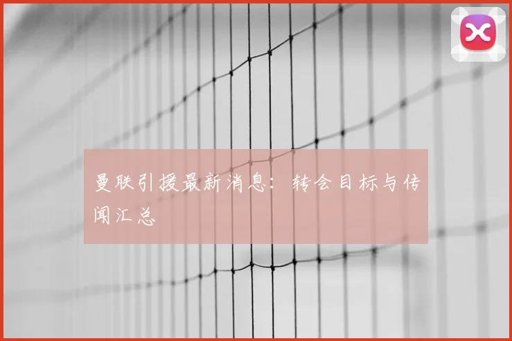 曼联引援最新消息：转会目标与传闻汇总