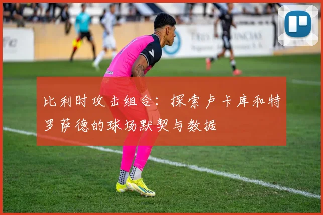 比利时攻击组合：探索卢卡库和特罗萨德的球场默契与数据