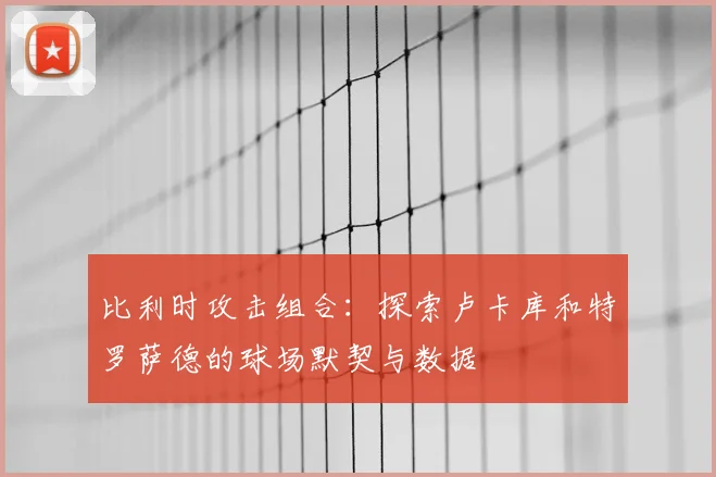 比利时攻击组合：探索卢卡库和特罗萨德的球场默契与数据